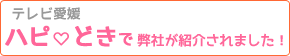 テレビ愛媛ハピどき